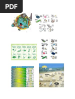 decomposição do lixo na natrureza