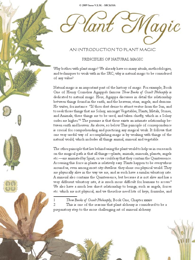 An Introduction to Plant Magic Magic (Paranormal) Religion And Belief