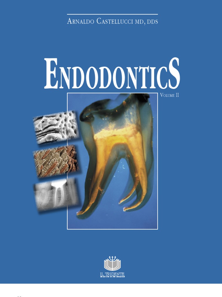 TECNICA　-DRAGON 100- Castellucci Endodontics Vol 2 - 2 | PDF | Metals | Materials