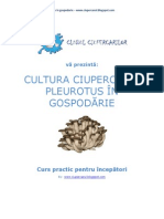 Cultura buretilor Pleurotus in gospodarie (ghid pentru incepatori).pdf