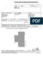 Termite Report