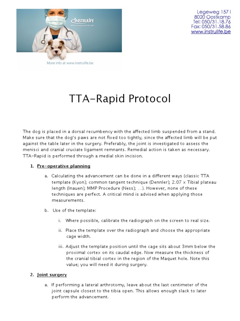 2013 TTA Rapid Protocol | PDF | Anatomical Terms Of Location | Drill