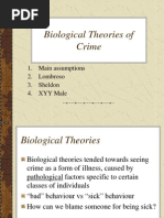 Lecture 7 Biological Theory