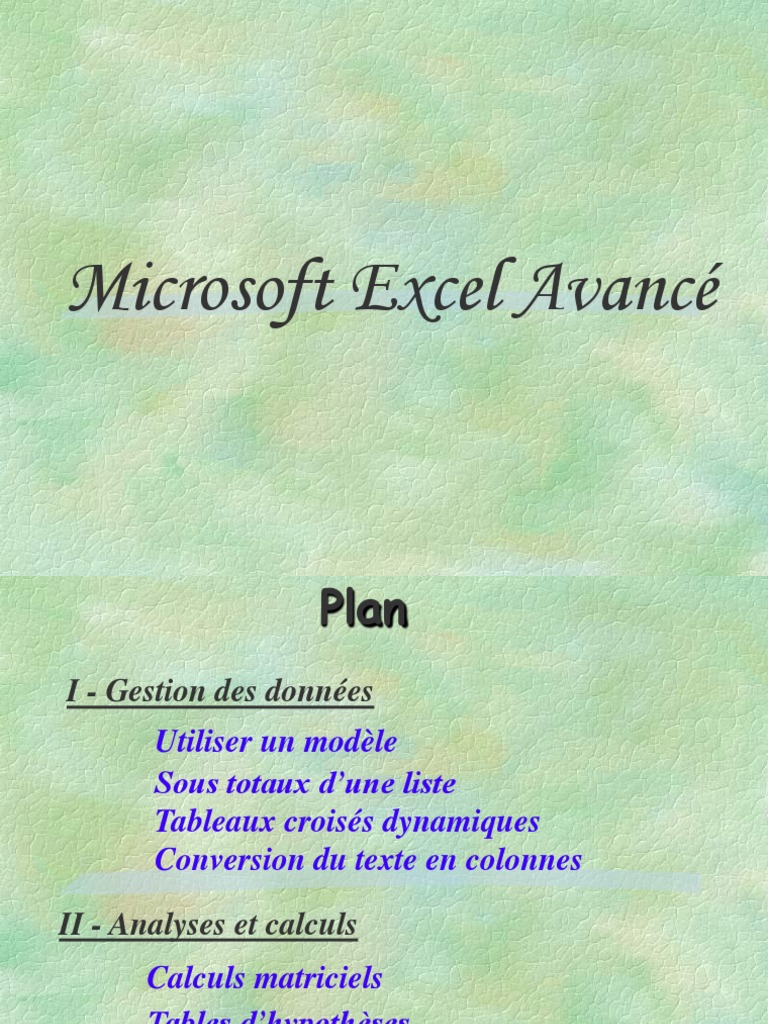 Excel Avance | PDF