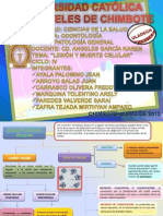If Patologia Grupo1 PDF