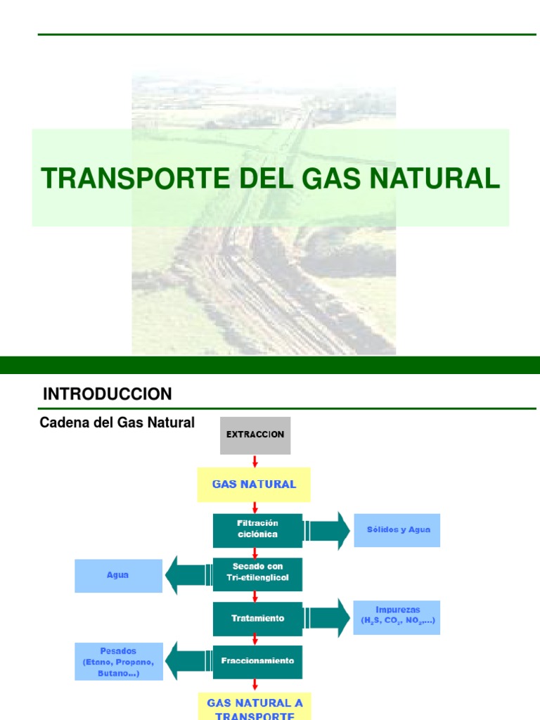 Transporte de Gas Natural por Gasoductos | PDF | Gas natural | Gas ...