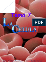 A-Tema 7.-LA CÉLULA