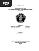 Download Lapsus Cf Clavicula by Johan Padmamuka SN145987230 doc pdf