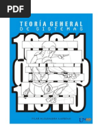 Teoria General de Sistemas