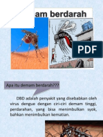 DBD