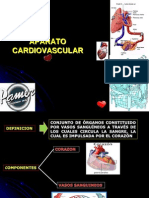 Aparato Cardiovascular