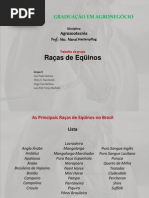 As Principais Raças de Equinos no Brasil