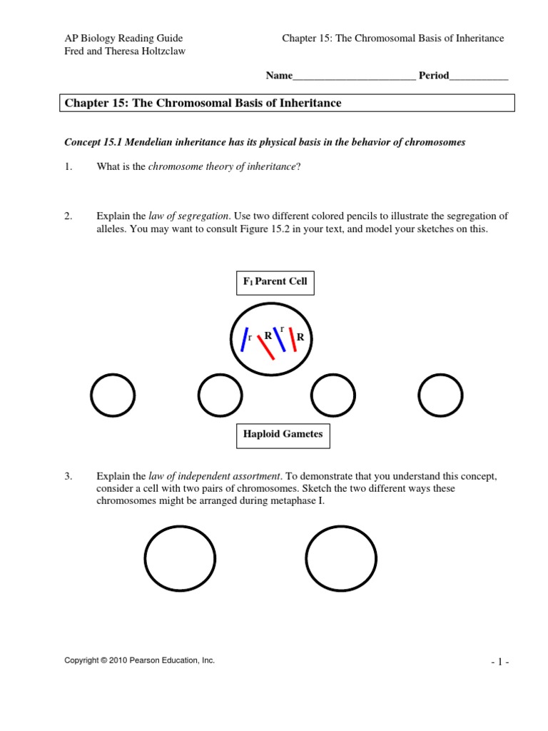 Chapter 15 The Chromosomal Basis Of Inheritance Answer Key