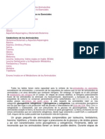 Introducción Al Metabolismo de Los Aminoácidos