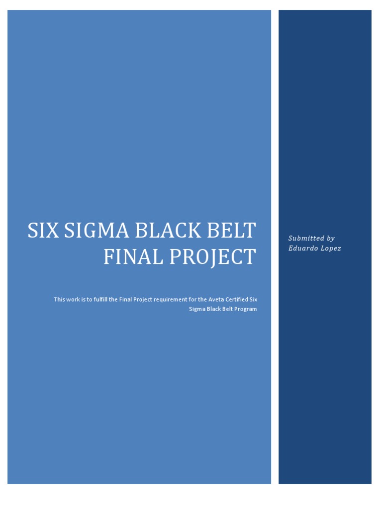 Six Sigma Black Belt Project Example PDF Inventory Standard Deviation