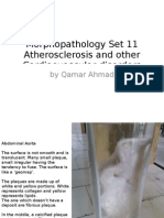 Morphopathology Set 11 Atherosclerosis and Other Cardiaovascular Disorders