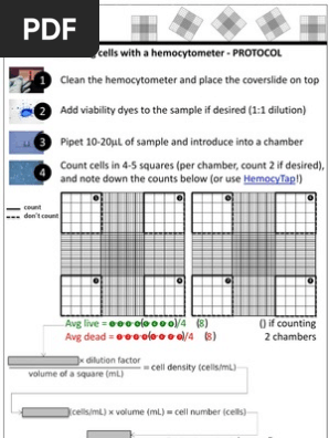 Hemocytometer Protocol Laboratories Chemistry
