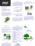 Coleta Amostras Solo 000fhtbvqw702wyiv80v17a09ztd08zh