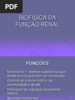Biofísica e a função renal.