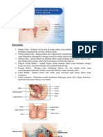 Jenis Abortus dan Penanganannya