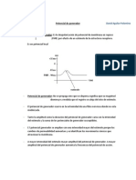 Resumen de Potencial Generador