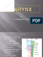 23 Larynx 1