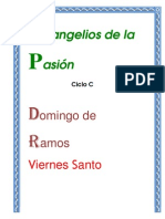 Lectura Pasion C