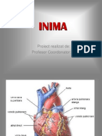 INIMA - Prezentare Biologie