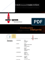 Intro A La Combustion PDF