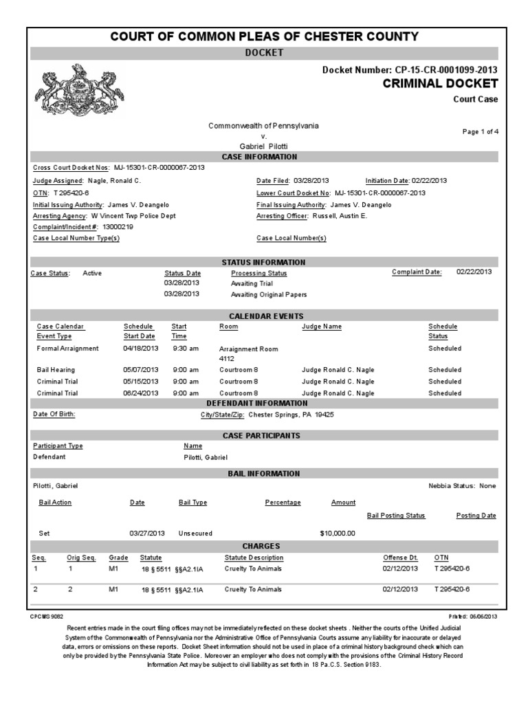 Commonwealth of PA vs Pilotti as of June 6th 2013 Discovery (Law