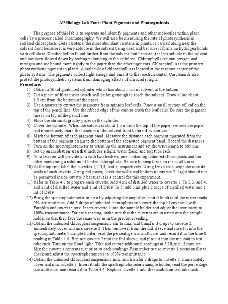 Plant Pigments and Photosynthesis Lab | PDF | Photosynthesis | Chlorophyll