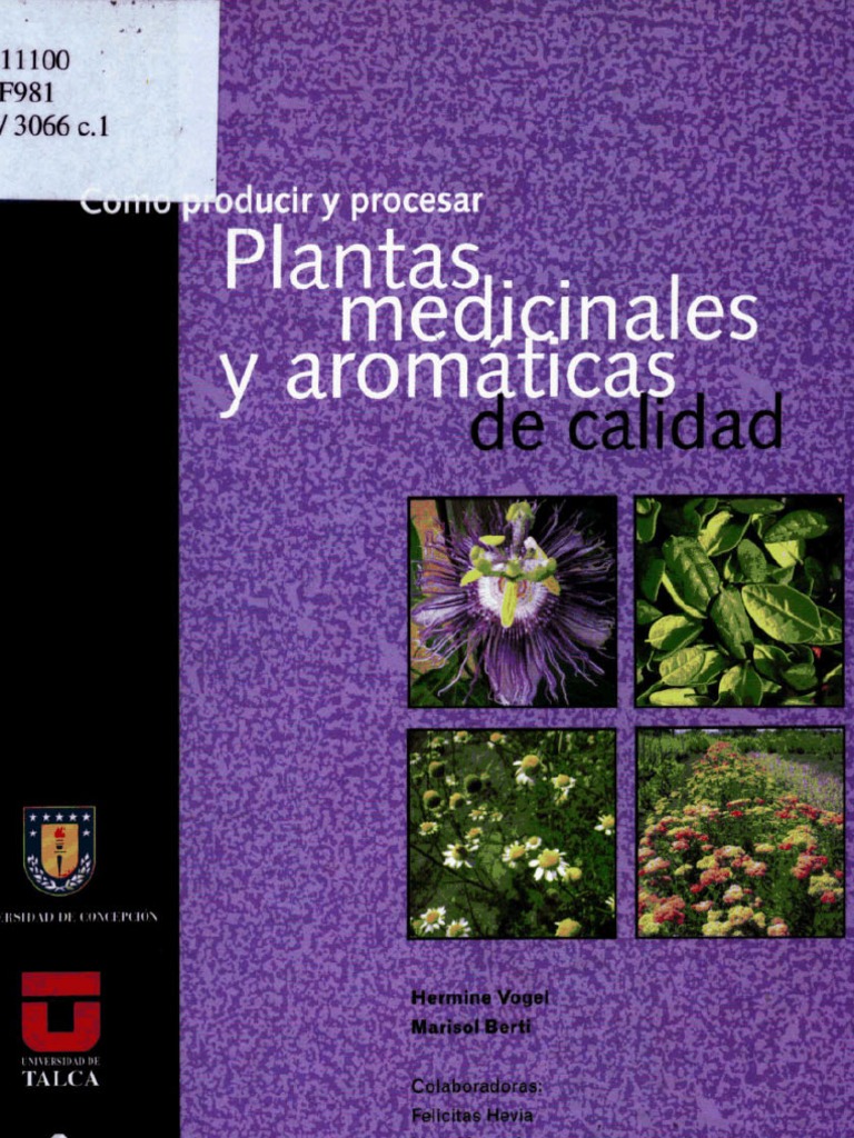 Como Producir Y Procesar Plantas Medicinales Y Aromaticas De