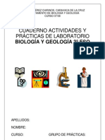 a a A prcticas-de-laboratorio-1222982153545218-8 (1)