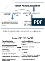 Final de Psicolinguistica