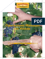 Viticultura Operaciones Manuales en Viñedo Poda Vid Viña