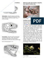 Jenis Ular Berbisa