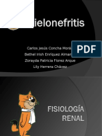 Pielonefritis Final Final