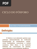 Ciclo do Fósforo_ Slide Biologia2