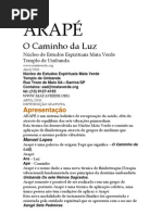 ARAPÉ parte 1 20132122