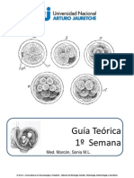 4 - 1º Semana