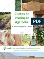 Custos de Producao Agricola - CONAB