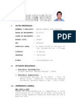 Curriculum Vitae 2