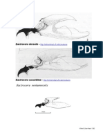 FF Anastrepha Bactrocera Ceratitis Dirioxa Rhagoletis Toxotrypana Mouth Hooks of Different Species Diagrams Jessup 2010