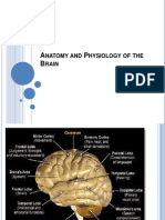 Anatomy and Physiology of the Brain