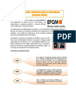 MONOGRAFICO MODELO EFQM.docx