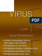 Virus