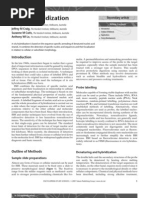 Download in situ hybridizationpdf by manoj_rkl_07 SN146294213 doc pdf