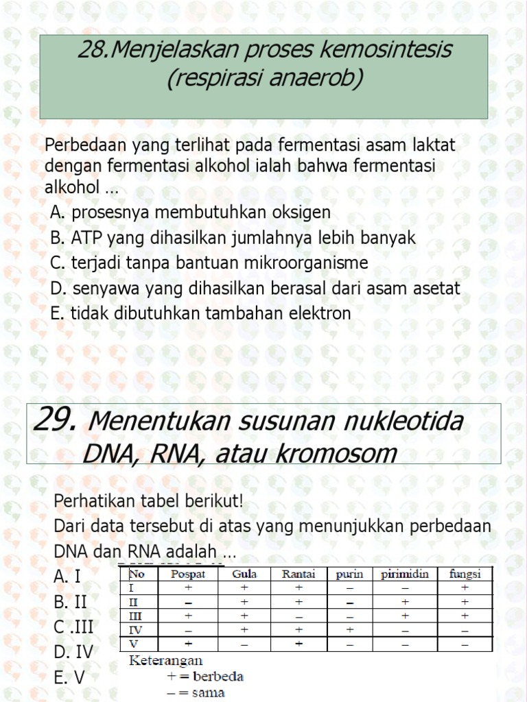 Proses Kemosintesis dan Sintesis Protein | PDF | Metode & Bahan Ajar | Seni