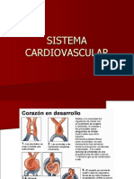 Sistema Cardiovascular