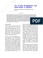 Strategies For in Vitro Propagation and Synthetic Seeds in Banana